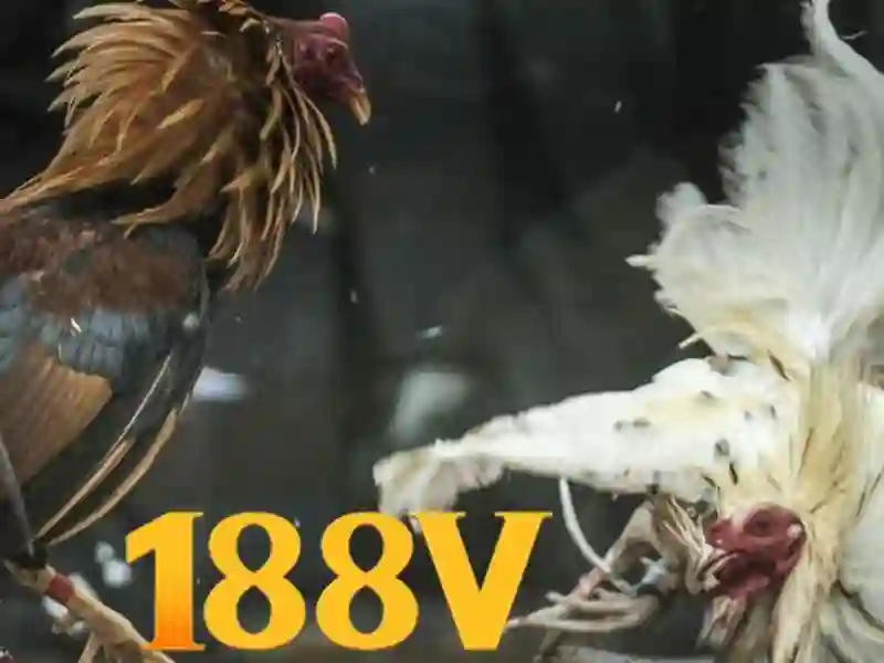 berlian 888 slot – Trải nghiệm và đánh giá - 188V berlian 888 slot – Trải nghiệm và đánh giá - 188V