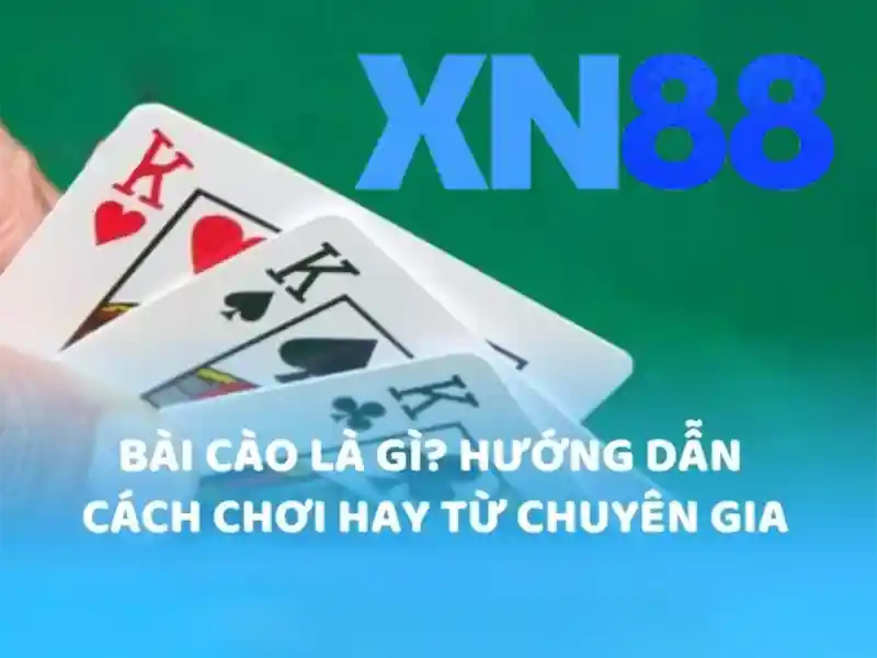 code xn88: Khám phá sức mạnh và giá trị thương hiệu