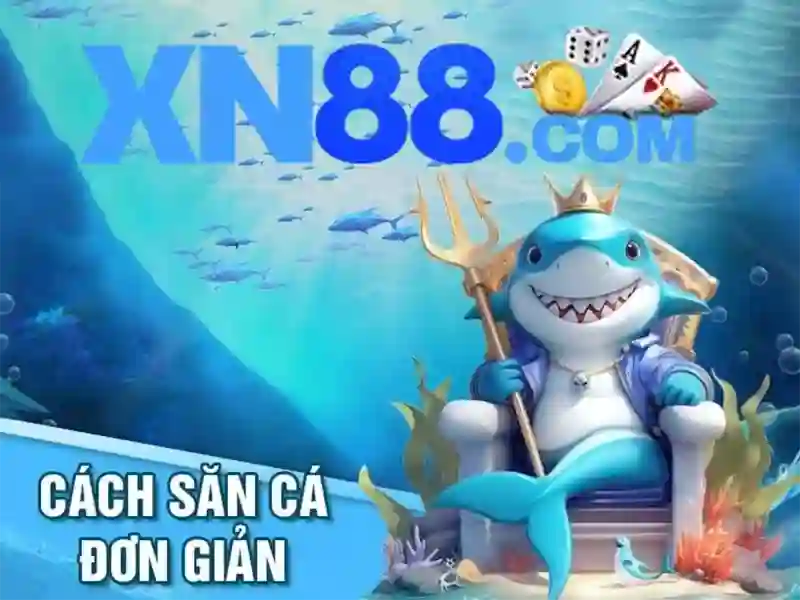 Khuyến mãi và chương trình thành viên\n