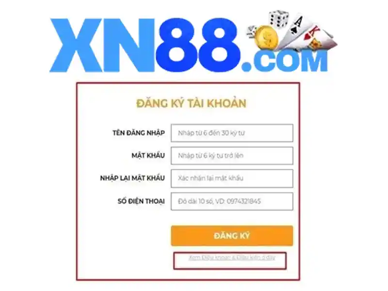 Trải nghiệm người dùng và phản hồi cộng đồng