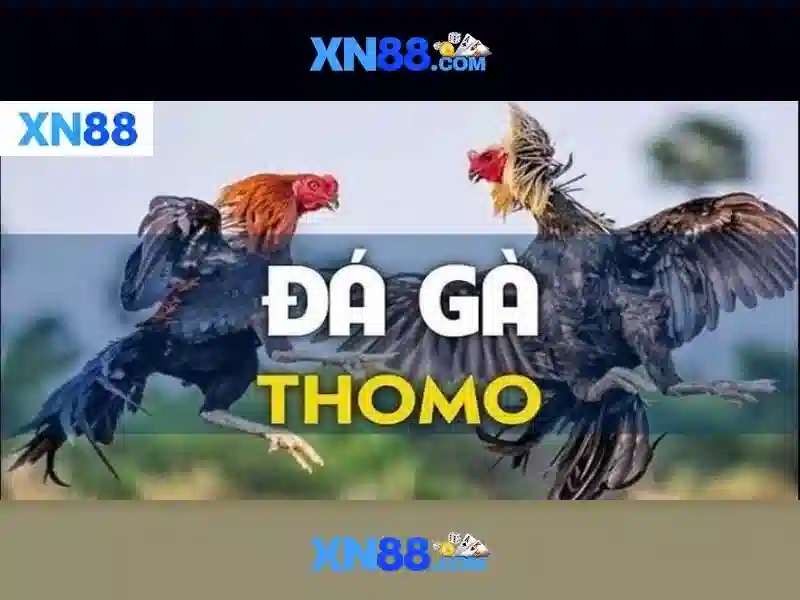 Giới thiệu về xn88\n