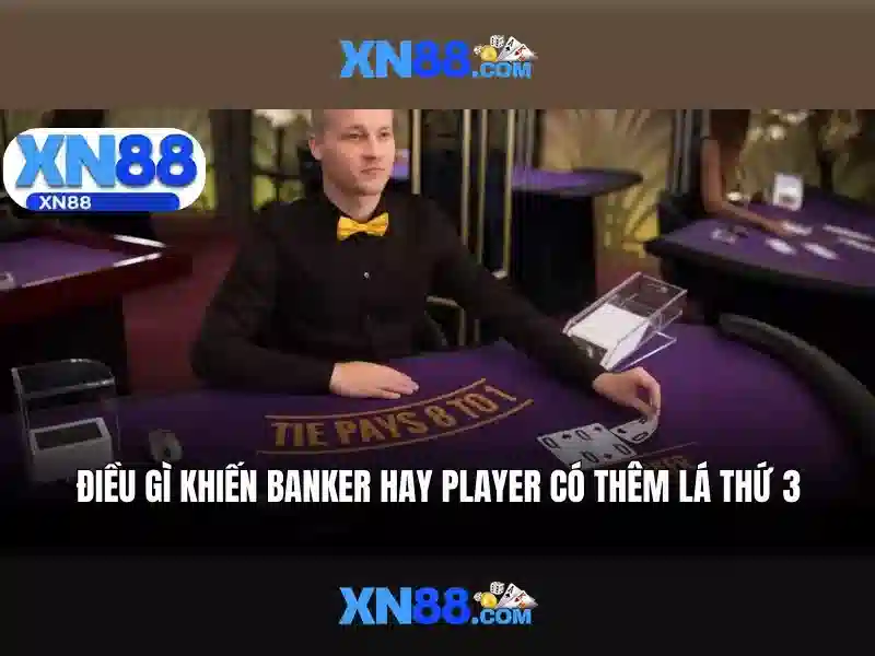 Khám phá xn88: tổng quan và tính năng