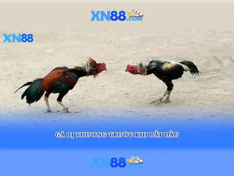 Tính năng nổi bật và trò chơi\n