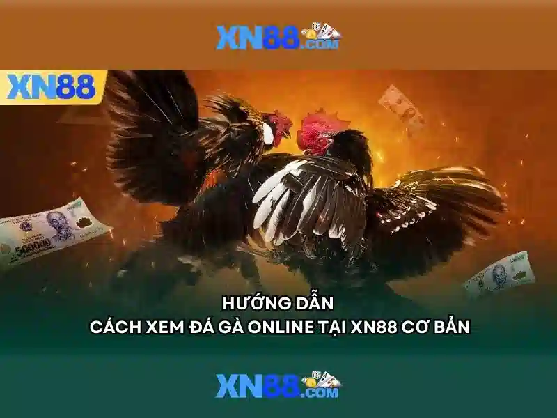 xn88 jpn – Tổng quan, trải nghiệm và ưu thế cạnh tranh