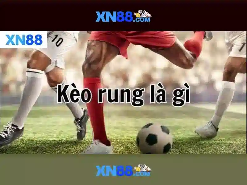 'Dịch vụ chính của XN88'