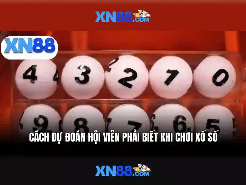 xn88 và hành trình khám phá nền tảng trò chơi trực tuyến