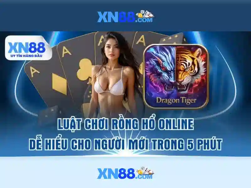 Trải nghiệm người dùng