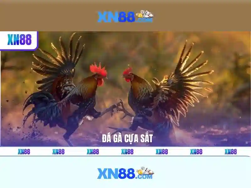 xn88 vip – Tổng quan chủ đề và giá trị cốt lõi