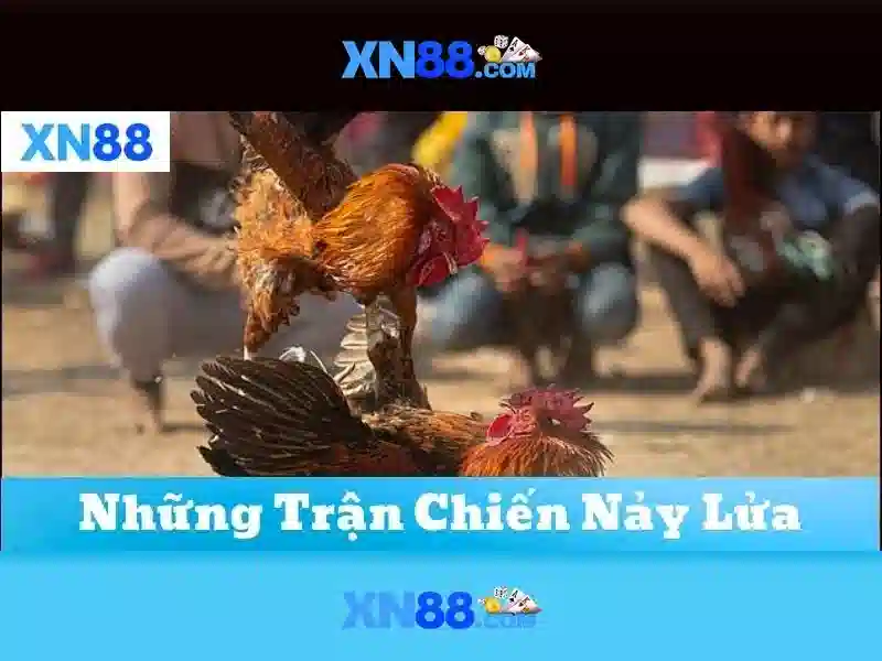 Giao diện người dùng và trải nghiệm\n