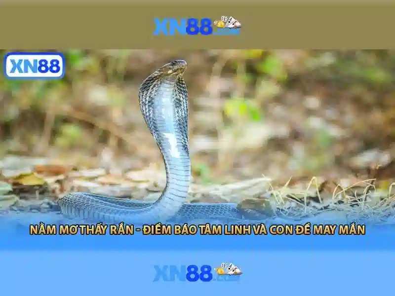 Xn88 là gì? Khám phá nền tảng trò chơi và đánh giá an toàn