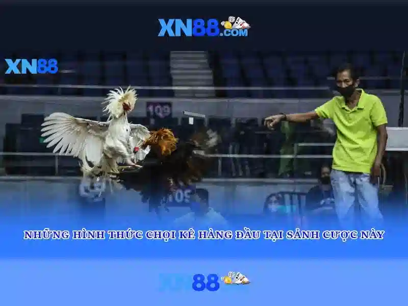 Giới thiệu xn88