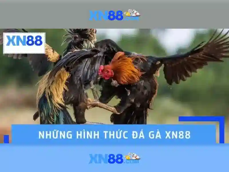 Hướng dẫn đăng ký nhanh