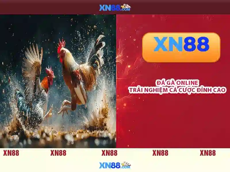 Kết luận và lựa chọn thông minh