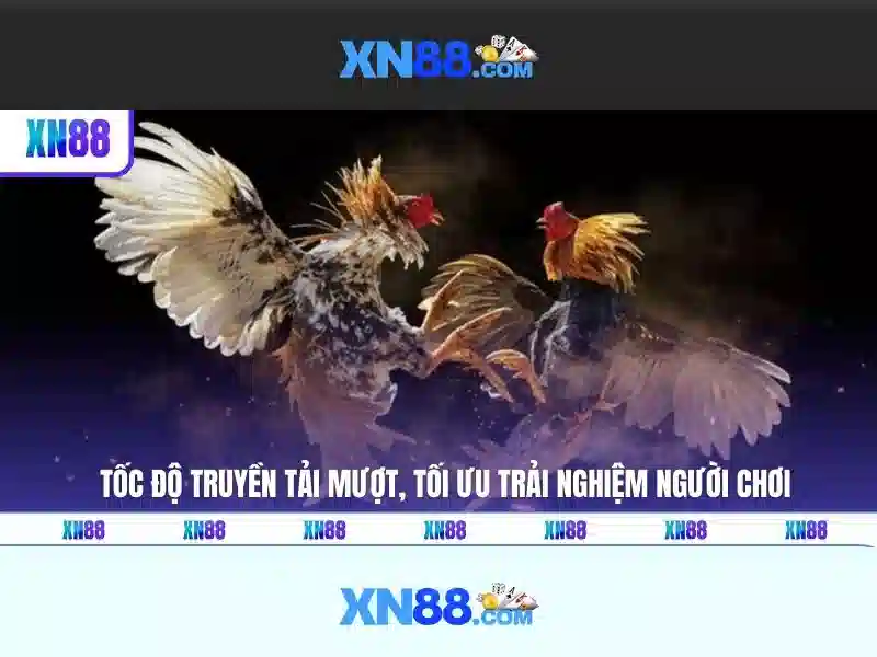 xn88: nền tảng giải trí và cá cược trực tuyến