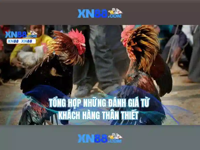 Trải nghiệm người dùng và bảo mật