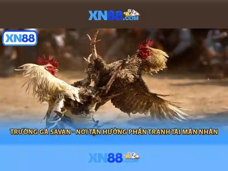 Cấu trúc và hoạt động