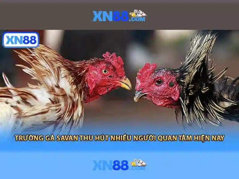 Các dịch vụ nổi bật\n