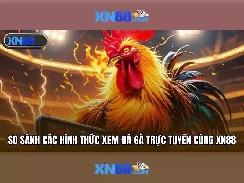 Các tính năng nổi bật
