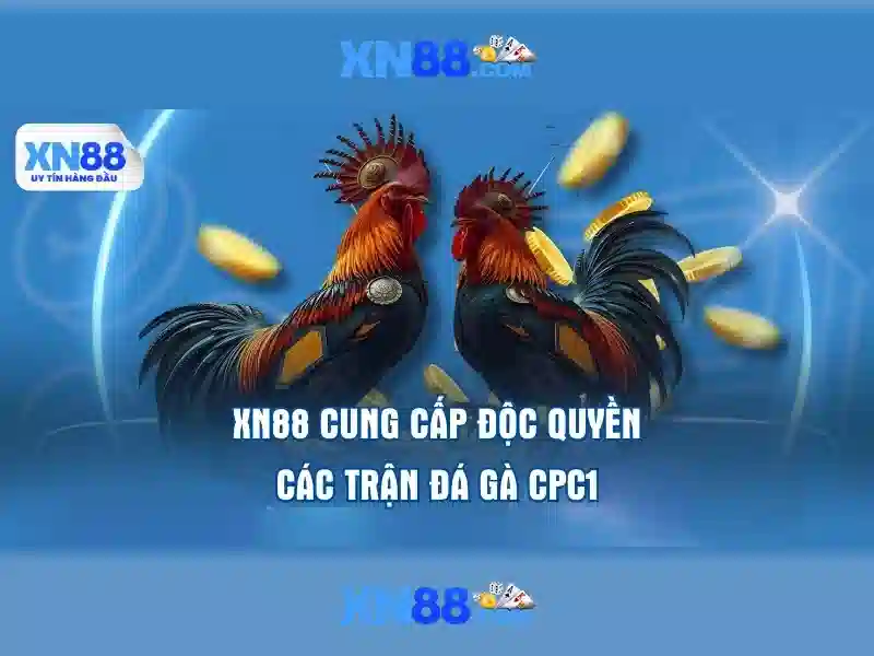  xn88 best – Tổng quan chủ đề và giá trị cốt lõi