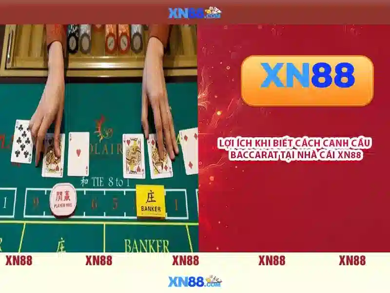 Tải game xn88 - Trải nghiệm đỉnh cao với xn88 casino