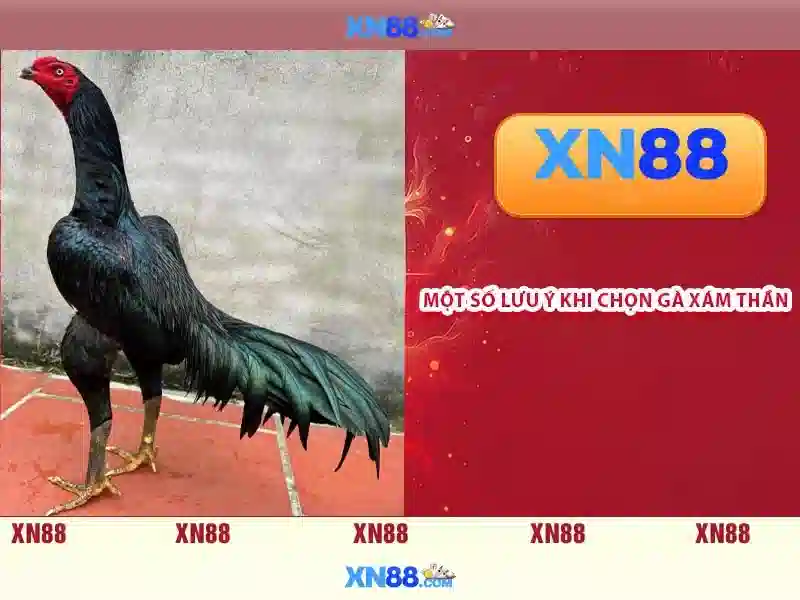 Đa dạng trò chơi và cược\n
