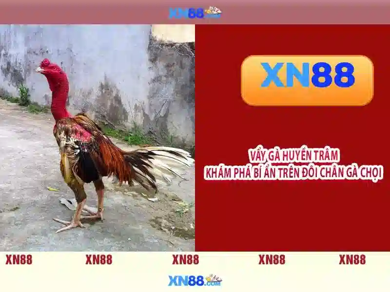 Nguồn gốc và sứ mệnh của xn88 nhà cái