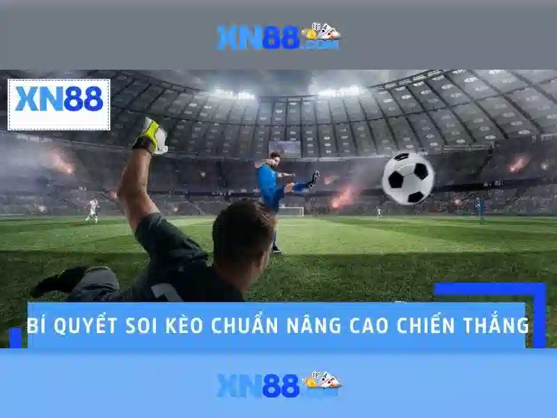 Độ tin cậy và an toàn
