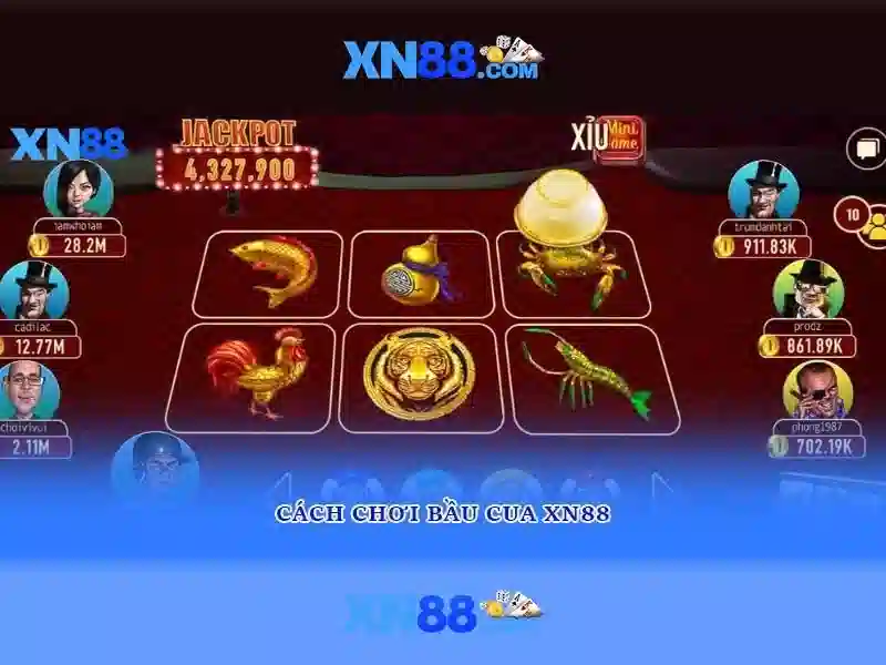 Giới thiệu về xn88