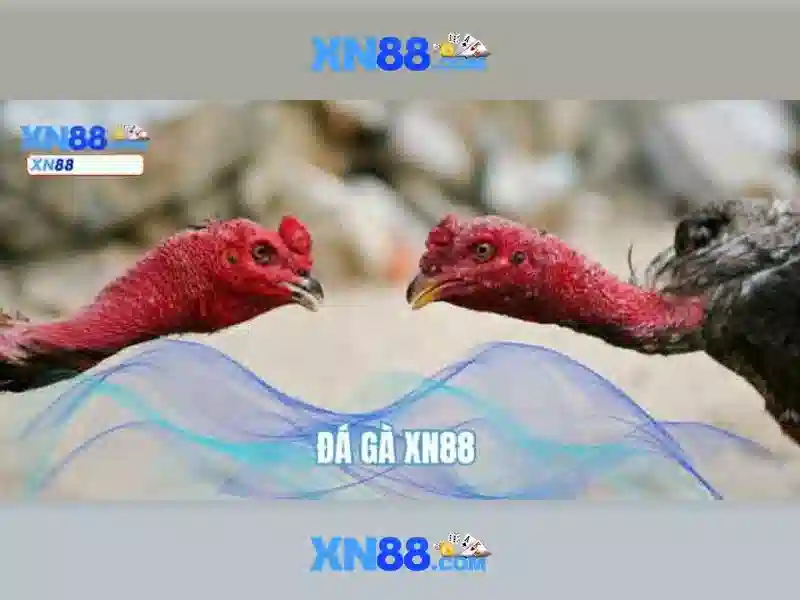 Đánh giá và lưu ý