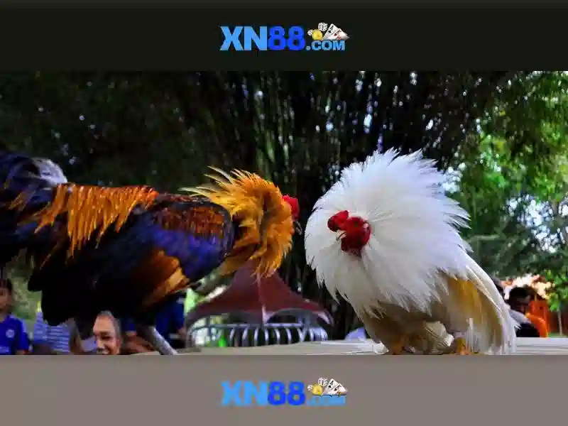 Mẹo chơi bắn cá 3 cây dễ ăn tiền nhà cái