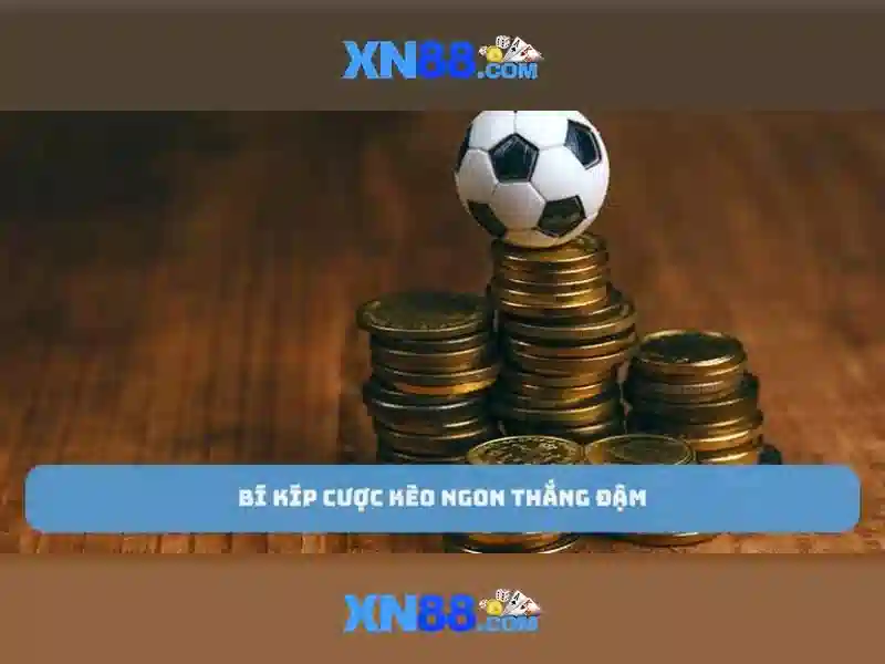 'Giao diện người dùng'