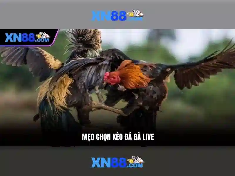 Mẹo chơi bắn cá 3 cây dễ ăn tiền nhà cái