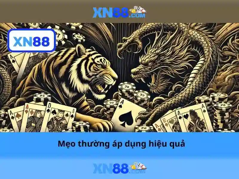 xn88: Đánh giá và hướng dẫn cơ bản
