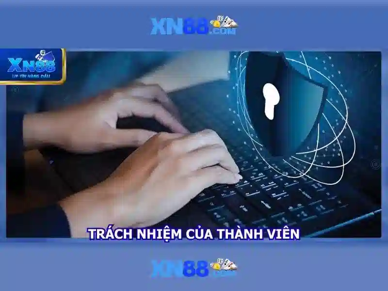 Cải thiện trải nghiệm người dùng trên xn88