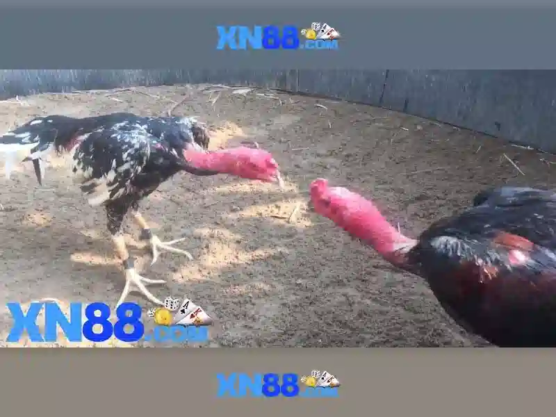 Các sản phẩm và dịch vụ\n