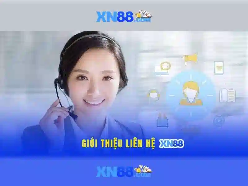 Trải nghiệm người dùng và phản hồi của cộng đồng