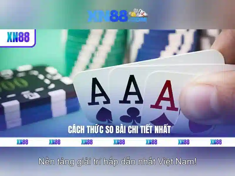Trải nghiệm người dùng và giao diện