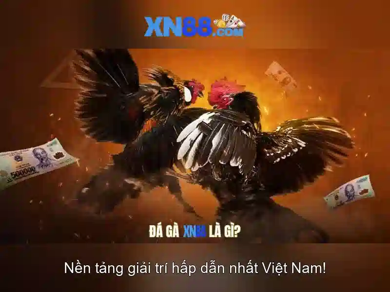 xn88: Nền tảng giải trí và cược trực tuyến