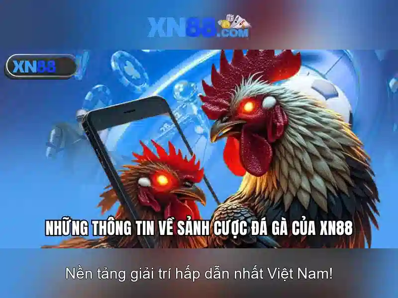 Các sản phẩm và dịch vụ