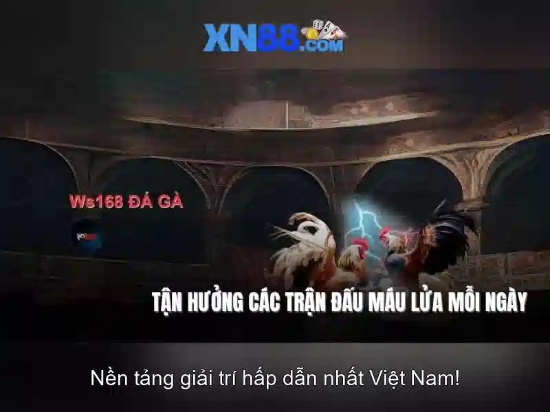 xn88: Giới thiệu và ứng dụng