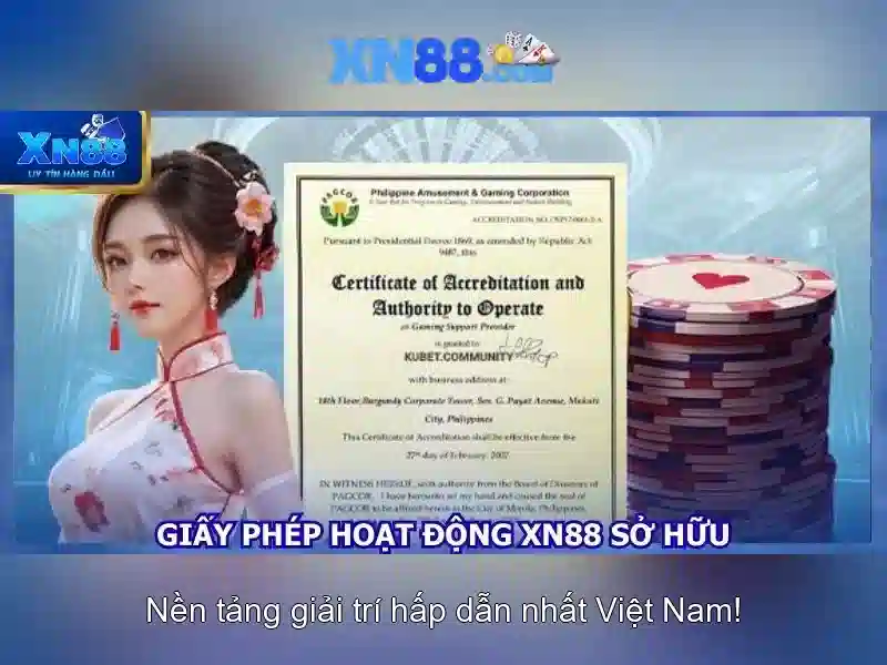 Kết luận