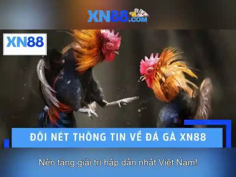 Nguồn gốc từ ngữ và sứ mệnh