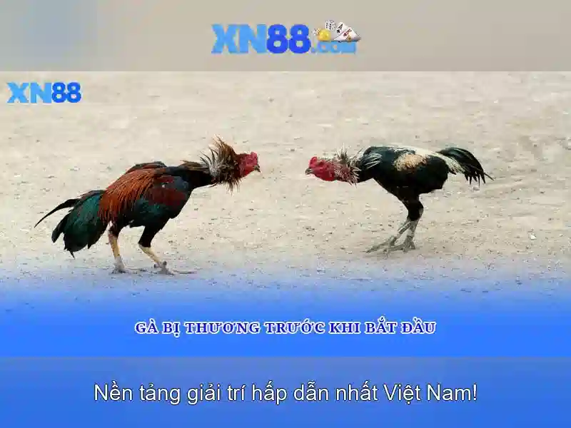 Nguồn gốc và sứ mệnh