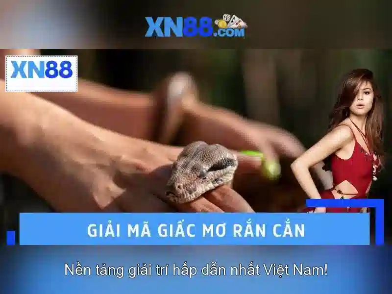 Mẹo chơi bắn cá 3 cây dễ ăn tiền nhà cái
