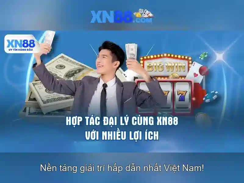 Trải nghiệm người dùng và tương thích di động
