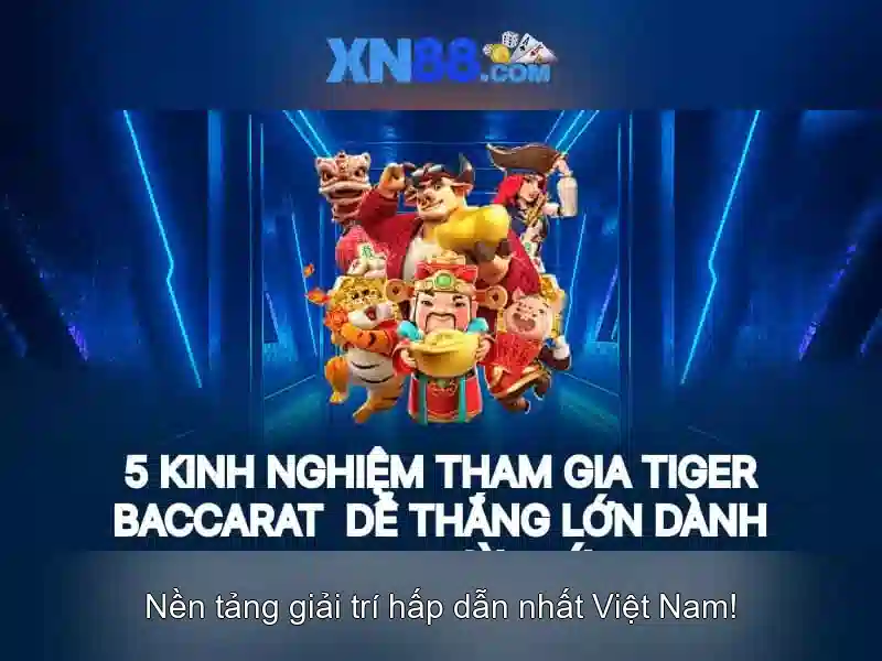 Nền tảng và trải nghiệm người dùng\n