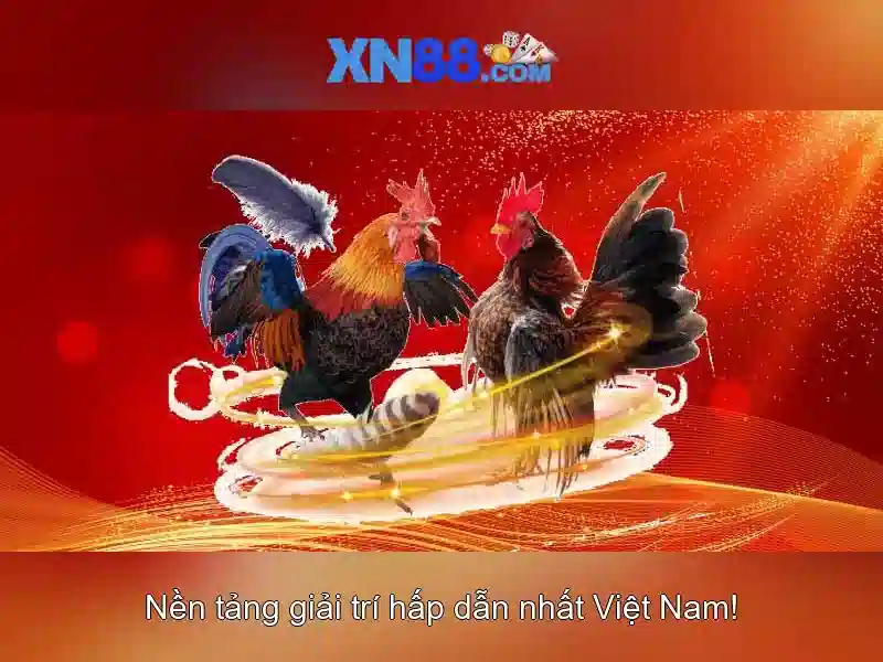 Giao diện và trải nghiệm người dùng