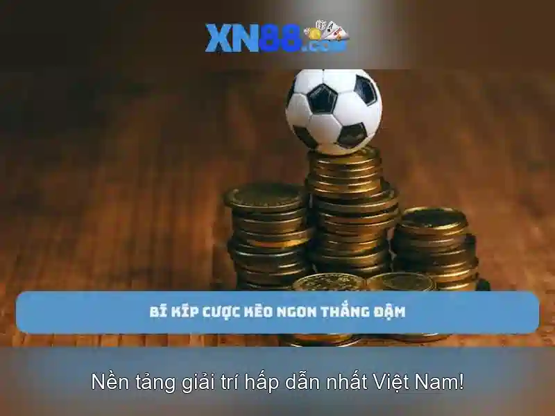 Các sản phẩm chính