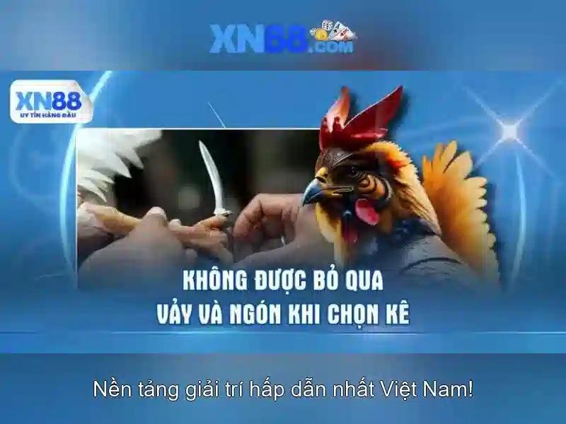 xn88: Tổng quan, trò chơi và an toàn trên nền tảng đánh bạc trực tuyến