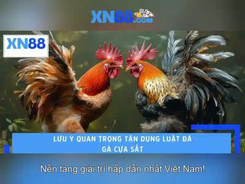 Giới thiệu về xn88\n